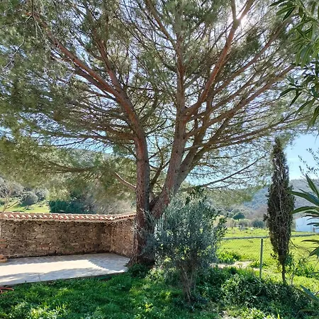 Tatil Evi Casa Celia Miranda del Rey